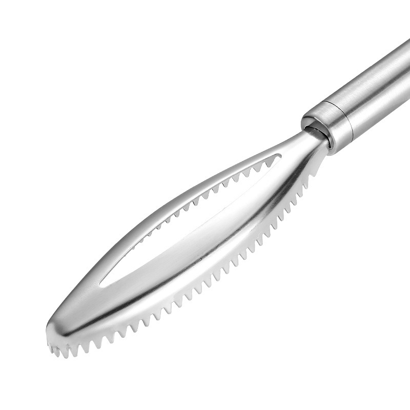 430 Stainless Steel Scale Removing Artifact Fish Killing Tool Kitchen Gadgets - Image 5